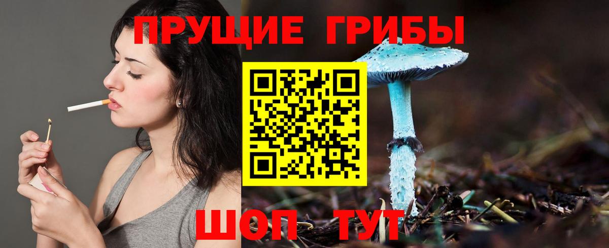 Богданович  цена наркотик  Вход с VPN  Галлюциногенные грибы Psilocybe 