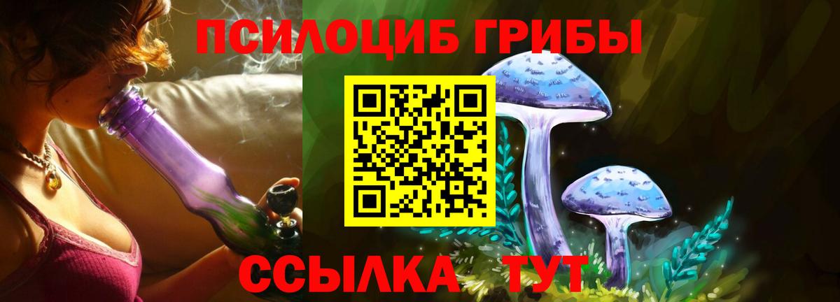 Псилоцибиновые грибы GOLDEN TEACHER Богданович